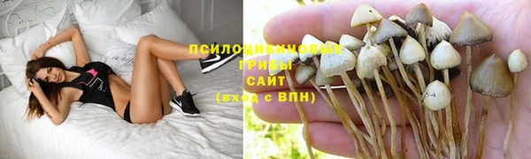 гидра Армянск