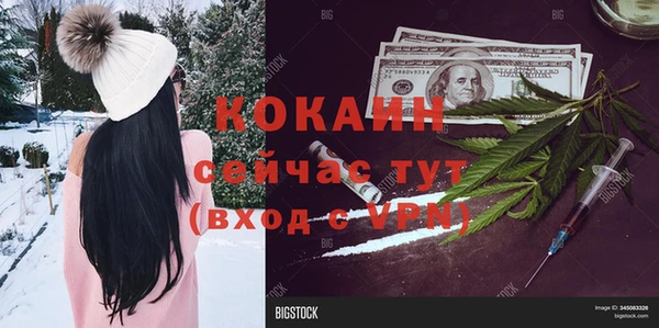 не бодяженный Арсеньев
