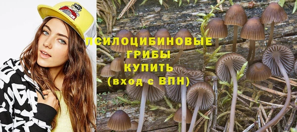 гидра Армянск
