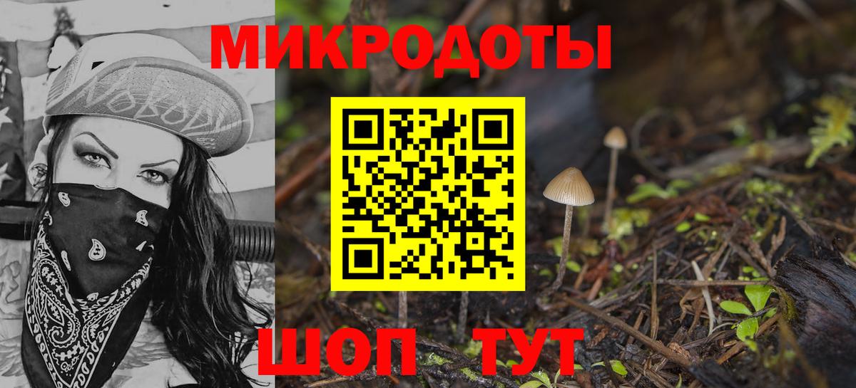 Чистополь  Псилоцибиновые грибы Psilocybine cubensis  Вход с VPN  Псилоцибиновые грибы мицелий 